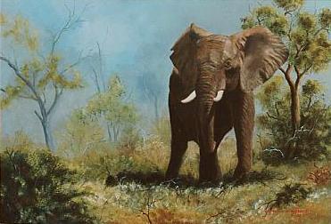 Alone Elephant