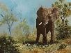 Alone Elephant
