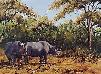 Rhino in the Bush