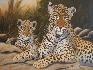 Mommy Leopard and Baby