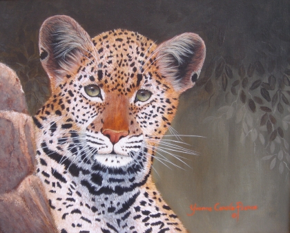 Leopard Cub
