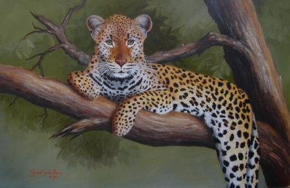 Leopard
