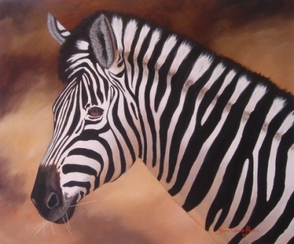 Zebra
