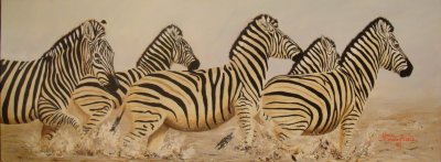 Zebra Crossing